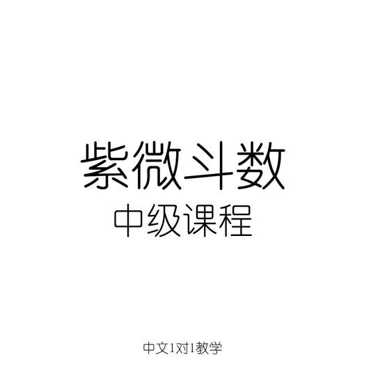 紫微斗数 中级课程
